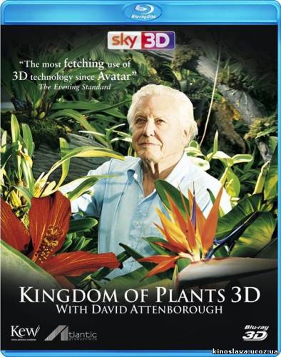 Фильм Царство растений в 3Д / Kingdom of Plants 3D (2012) смотреть онлайн бесплатно в хорошем качестве!